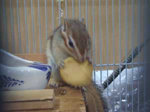 ���͔�͋��Ȃ́I�@�Y��ɂނ��āI