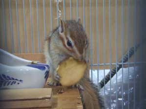 ���Ɓ@������Ɓ@����΂낤�I