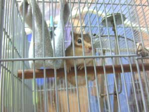 �|�J�`���I