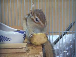 ���������@���������I