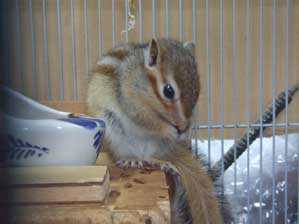 �n�`�@�H�ׂ��I�@���ā@���͑S���H�ׂꂽ�ł��傤���H