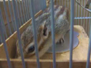 �S�}�����������I