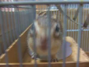 ����@���炵���̂ˁA���v���Ԃ�I