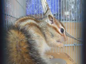 �H�H�@�������Ă����I