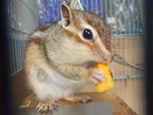 ����������`�@���������ՂˁI