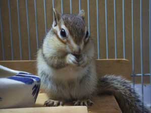 ���H�@���H