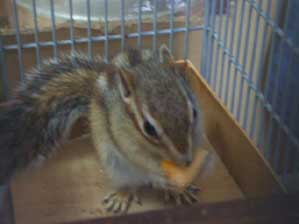 ����������I�@���肪�Ƃ��B