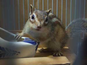 �M�N�b�I�@�h�M�b�I�@�A�`���`�I