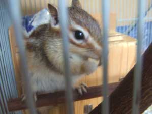 ���肪�Ƃ��I�@�ł��@�ǂ������́H