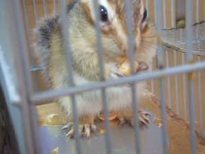 ���肪�Ƃ��I���̂������������ˁB