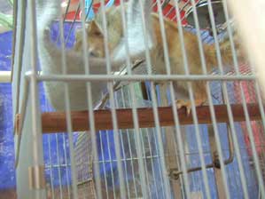 �~������`�@�����ɓ����Ă��Ȃ����ȁ`