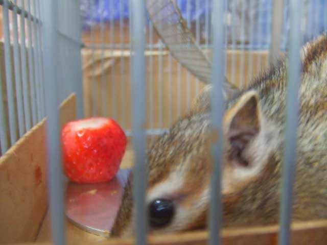 �N���I�@�N���I