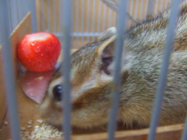 �S�}�@�����I