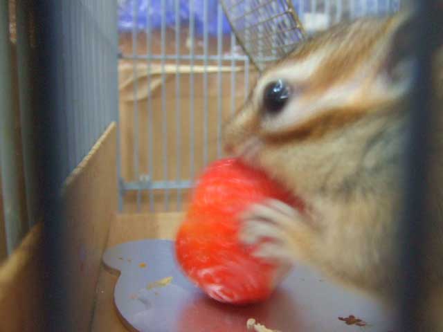 �Â��Ĕ��������`