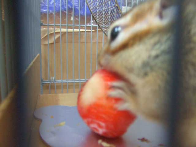 ������Ɖ�]�����ā`