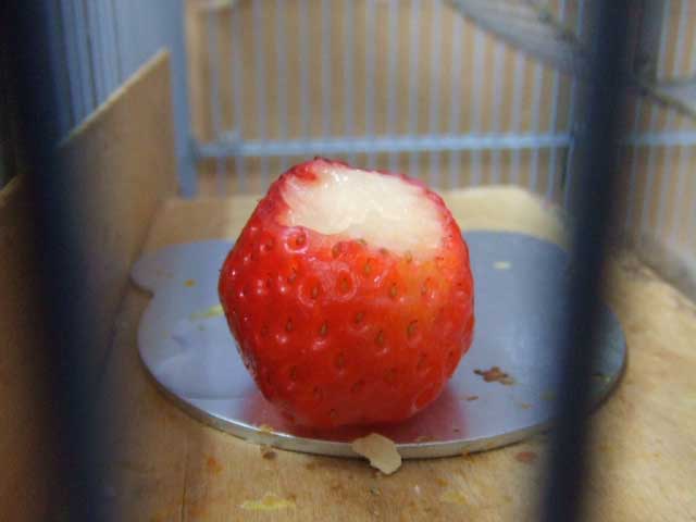 �������^�`