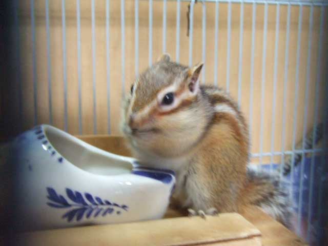 ���������ς��`