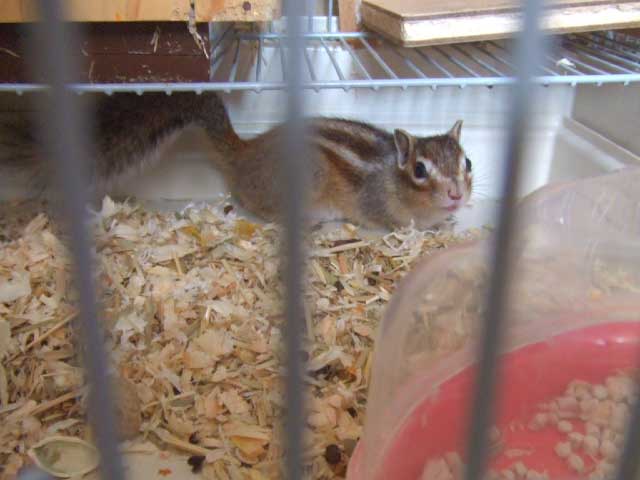 ������`�`�I