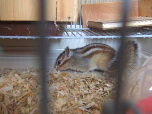 �܂��܂��@���v�I�@�ړ��I�@�ړ��I