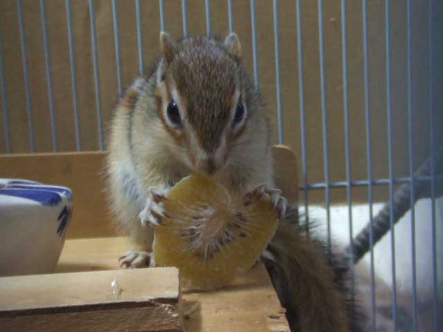 �������イ�������܂��I