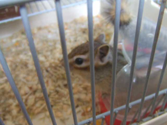 �܂��@�`���Ă����I