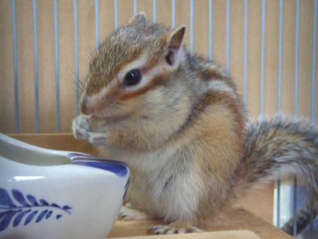 �����ς��o��������@�����󂢂�������I