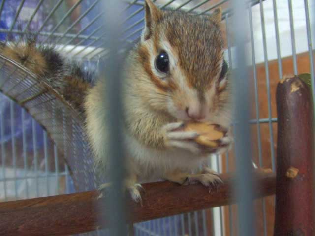 �������@�Ȃ񂩗D���������I�@