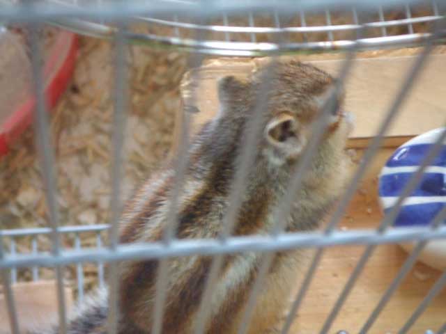 ���O���O���O���O�I