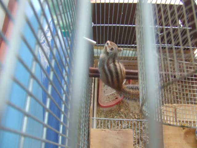 �����͊����ȁ`�@�ł����V�C���ȁ`