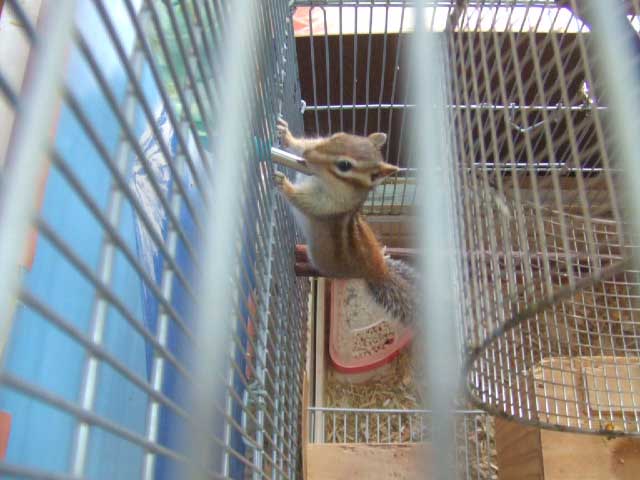 �S�N�S�N�S�N�I