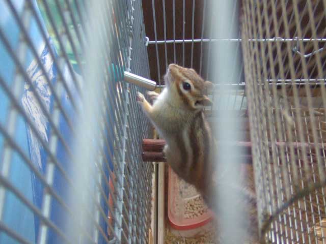 �����I�@�ォ�猩�Ă����̂ˁ`�I