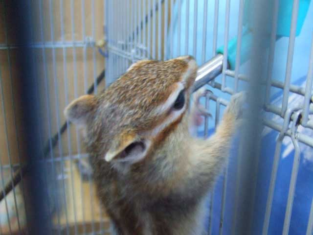 �������@�������I