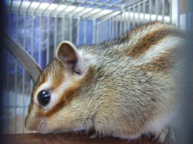 �����͖������悤�I