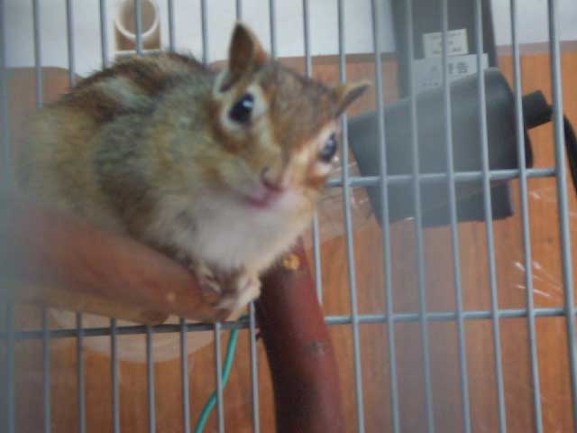 �o���܂���I�@���������H