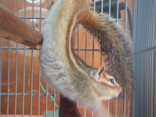 ���A�`�`�`�I