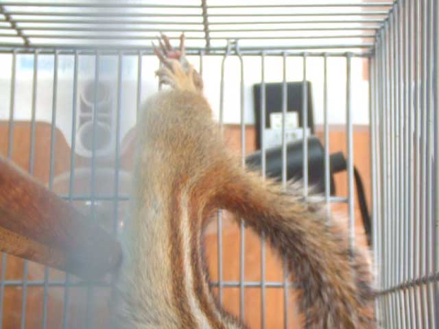 �����`�`�I