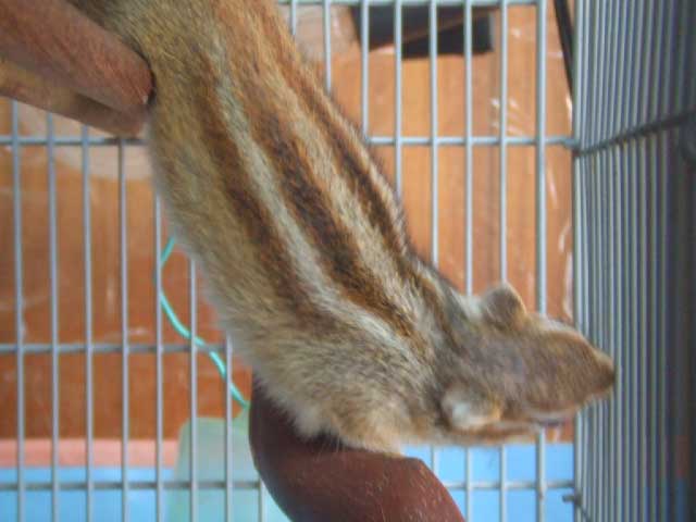 �O��Ă����v��I