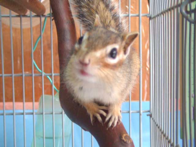 �����ł���I