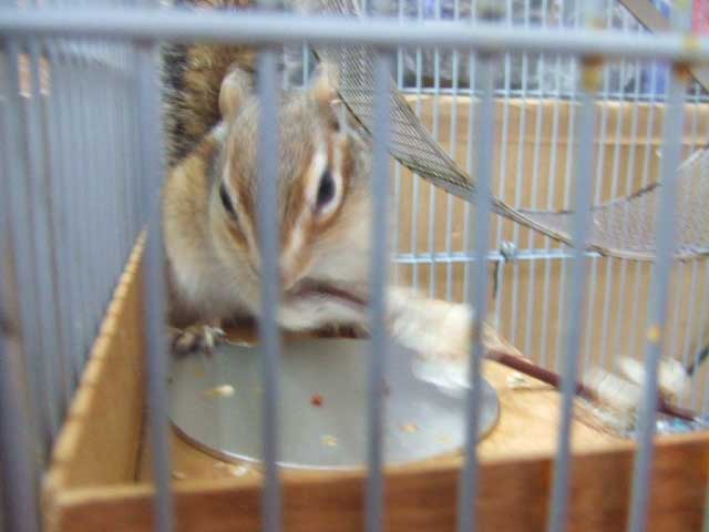 �����������ǁ@����͉��H