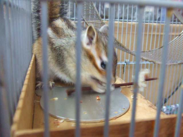 �Ԃ��炢�Ă��邯�ǁI