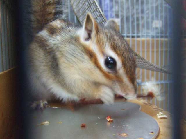 �킩�����I