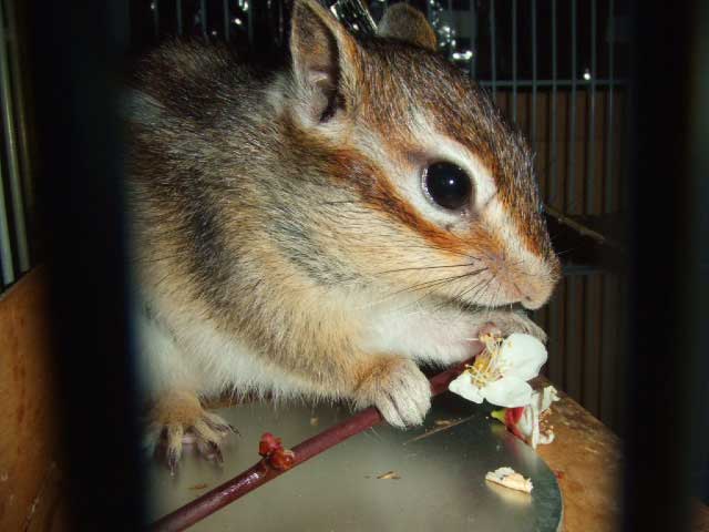 �����������ǁ@�ʂ����̃t���b�V���͂�߂�