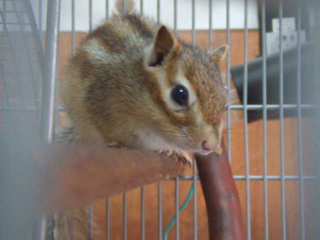 �~�����I�@�`���E�_�C�I