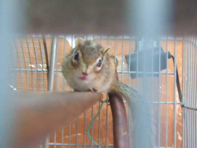 �����I�@�����Č����Ă��H