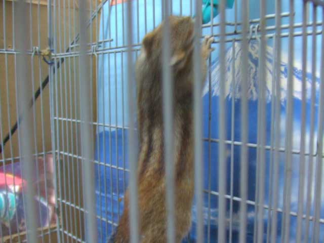 �����I�@����������`�`�I