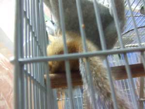 ���T���T���T�I�@�J�{�`���̎킪����͂��Ȃ̂Ɂ`