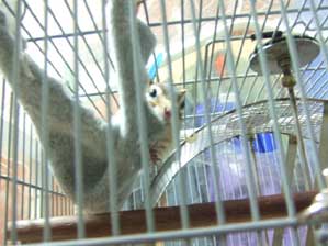 �����Ɓ@�����Ɓ@�`���E�_�C�I