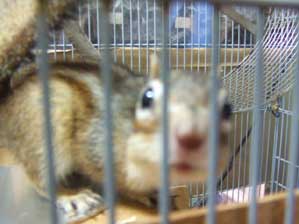 ���H�@���H