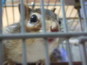 ���x�̓o�b�`���l�I