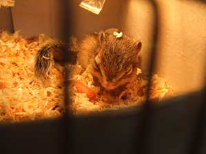 �y���������`